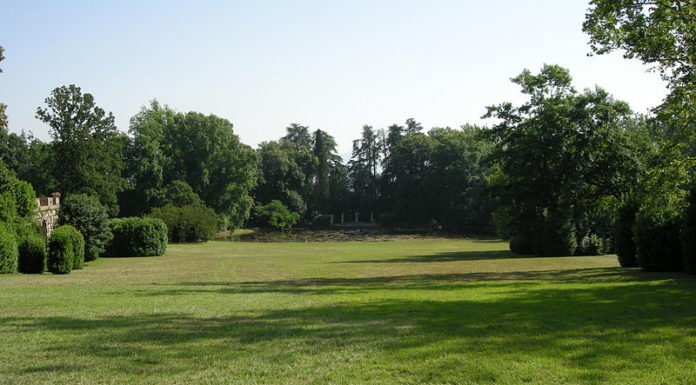 Cure per un prato perfetto 1121 0 Cure per un prato perfetto.JPG